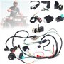DEBBD Loom CDI Quad Dirt Bike ATV Câble magnétique pour 50 CCM 70 CCM 90 CCM 110 CC 125 CC