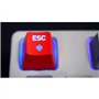 Clavier de gaming mécanique - CHERRY - XTRFY K4V2 RGB TKL RETRO - Éclairage RGB - Noir - MX2A Red