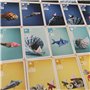 Cranio Creations - Sea Salt & Paper, Plongez dans Un Océan De Cartes Et D'Origami, Édition en Langue Italienne