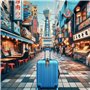 IPEA Étiquettes à Bagages, – 2 unités – Étiquettes pour Valises de Voyage avec Nom – Plaques Classiques en Plastique Antichoc Ha