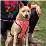 Harnais pour Chien Marvel XXS/XS Rouge