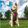 Harnais pour Chien Marvel XXS/XS Rouge