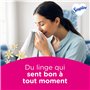 SOUPLINE Spray Brume de Linge Parfum Vanille, Brume Parfumée pour Linge de Maison et Vêtements, Complément Idéal à Votre Lessive