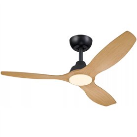 Ventilateur de Plafond Philips Noir Bois
