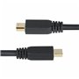 Câble Mini DisplayPort vers DisplayPort Startech DP14MDPMM10F Noir 3 m