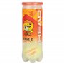 HEAD Balles de Tennis Orange Stage 2