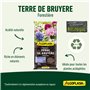 Algoflash Terre de Bruyère Forestière, Utilisable en Agriculture Biologique - 20 L, Marron