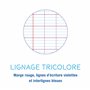 Clairefontaine 303101C Lot de 10 Cahiers Agrafés Mimesys - A4 21x29,7 cm - 48 Pages Grands Carreaux - Papier Blanc 90 g - Couver