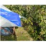 AGT Sac à Eau 80 litres avec Surface antidérapante