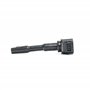 Delphi Technologies GN10798-12B1 Bobine D'Allumage