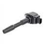 Delphi Technologies GN10798-12B1 Bobine D'Allumage
