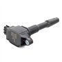 Delphi Technologies GN10798-12B1 Bobine D'Allumage