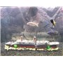 SLOME - Décoration pour aquarium en forme d’épave du Titanic - en résine - respectueuse de l’environnement