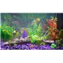 SLOME - Décoration pour aquarium en forme d’épave du Titanic - en résine - respectueuse de l’environnement