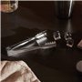 Alessi 505 Pince à Glace en Acier Inoxydable 18/10 Brillant, Argent