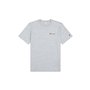 T-shirt à manches courtes homme Champion CHAMPION SS TEE 220264 NOXM Gris