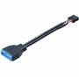Akasa - Cable Adaptateur USB 3.0 vers USB 2.0 Interne - 10 cm - AK-CBUB19-10BK - Noir