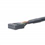 Akasa - Cable Adaptateur USB 3.0 vers USB 2.0 Interne - 10 cm - AK-CBUB19-10BK - Noir