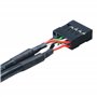 Akasa - Cable Adaptateur USB 3.0 vers USB 2.0 Interne - 10 cm - AK-CBUB19-10BK - Noir