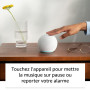 Echo Dot (Nouvelle génération) | Enceinte connectée Bluetooth et Wi-Fi au son puissant encore plus imposant, avec Alexa | Anthra