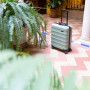 Cabin Max Valise à Main 55x35x25 cm, légère, Coque Rigide, Bagage à Main, avec 4 Roues, Serrure à 3 Chiffres (Bodo Grun, Air Fra