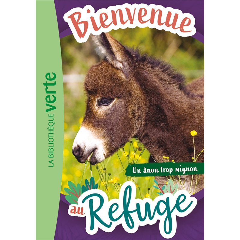 Meuble bas 12 bacs incolores bouleau