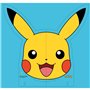 COLIS 45EX + PANNEAU OP POKEMON JANVIER 2025 AUCHAN