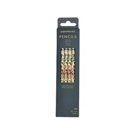 Crayons Planisphère Céleste Lot de 4