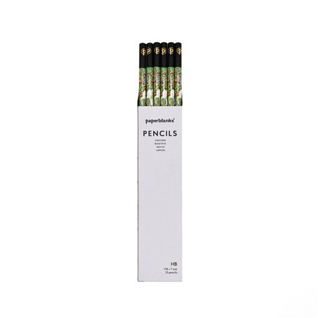 Crayons Iris de Van Gogh Lot de 12