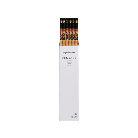 Crayons Astérix & Obélix Lot de 12