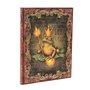 Carnet PB Les Frères Grimm