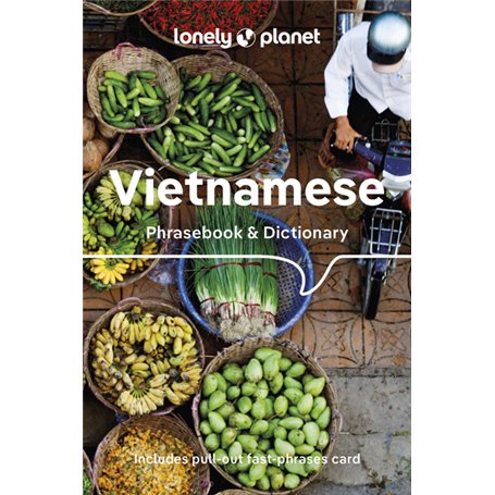 Vietnamese Phrasebook & Dictionary 9ed -anglais-