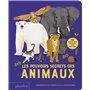 Les Pouvoirs secrets des animaux - 30 rabats pour découvrir leurs pouvoirs !