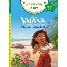 Disney - Vaiana - A la rencontre de Pua