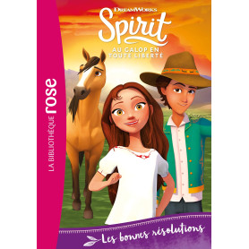 Spirit 26 - Les bonnes résolutions