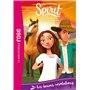 Spirit 26 - Les bonnes résolutions