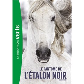L'Etalon noir NED 16 - Le fantôme de l'Étalon Noir