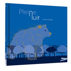 Pleine nuit