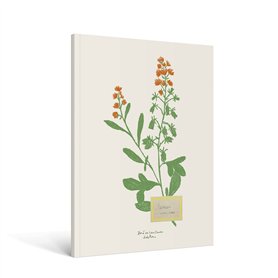 Carnet Fleurs A5 - Zoé de Las Cases