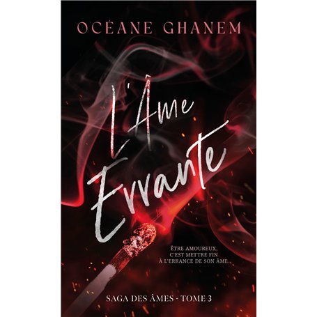 L'Âme Errante - Saga des Âmes Tome 3