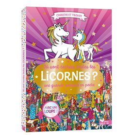Où sont cachées toutes les licornes ? Une grande aventure en poche