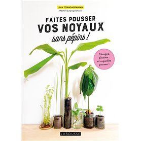 Faites pousser vos noyaux sans pépins !