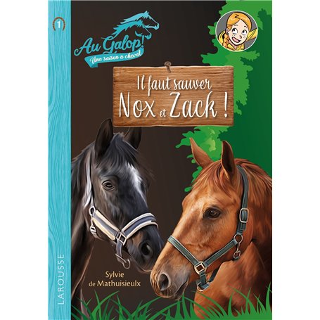 Roman AU GALOP