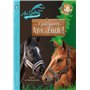 Roman AU GALOP