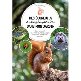 Des écureuils dans mon jardin