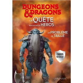 DUNGEONS & DRAGONS La Quête dont on est le héros - Un problème de taille