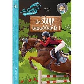 Roman AU GALOP