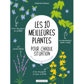 Les 10 meilleures plantes pour chaque situation