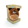 Ma petite marmotte antistress