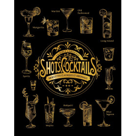 La bible Larousse des shots et cocktails